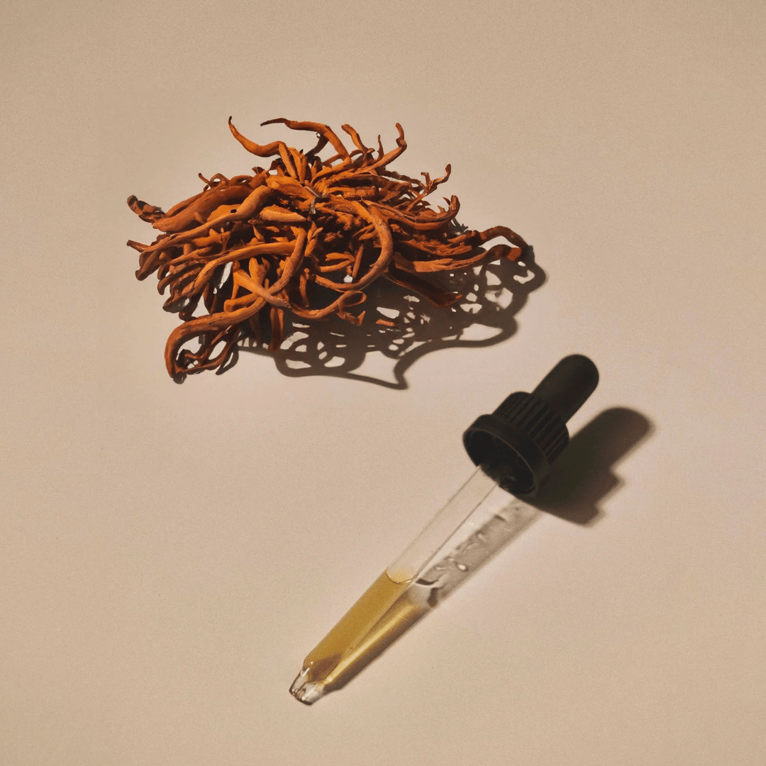 Organic Cordyceps Extract - Endurance • Performance • Recovery