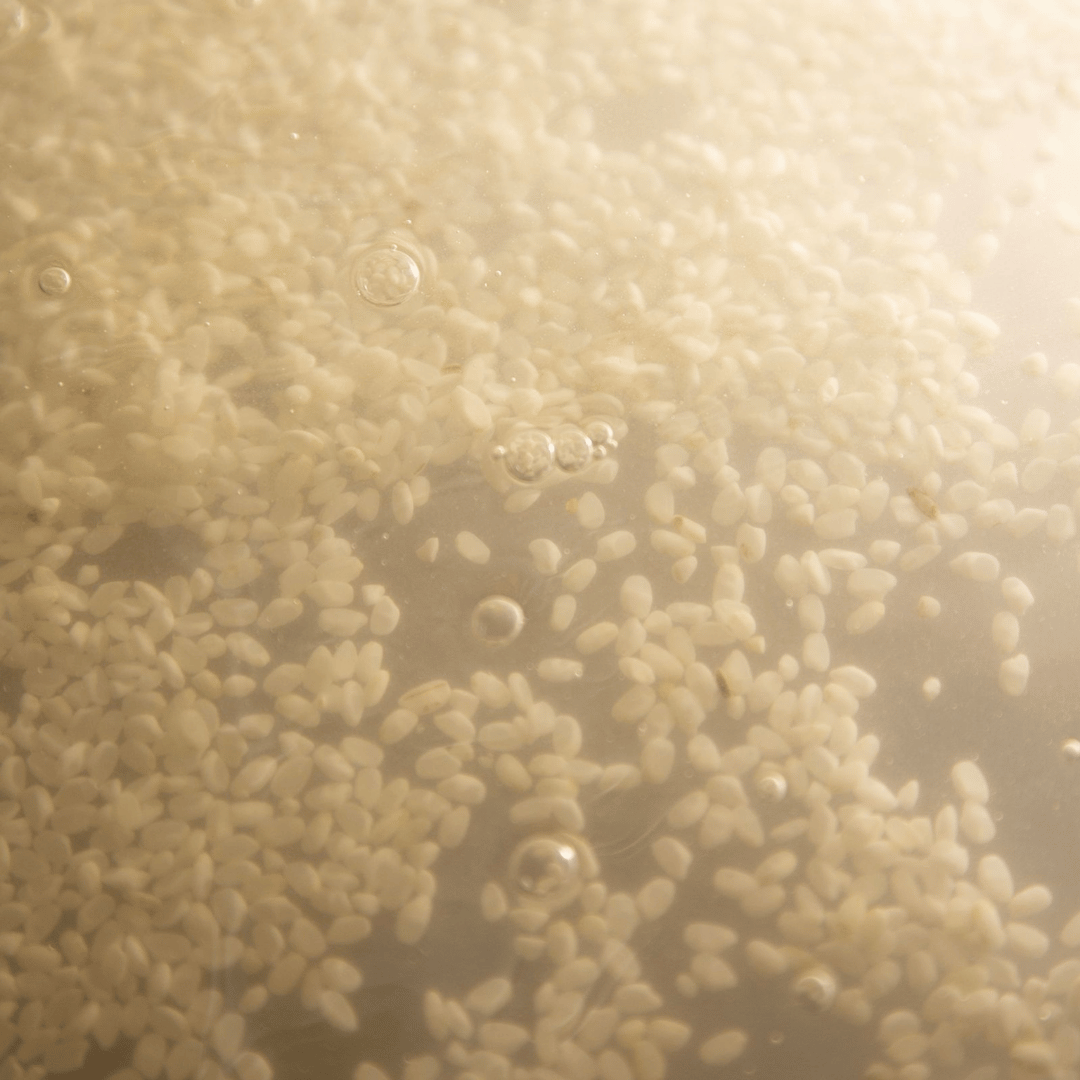 Rice Probiotic Cleansing Milk