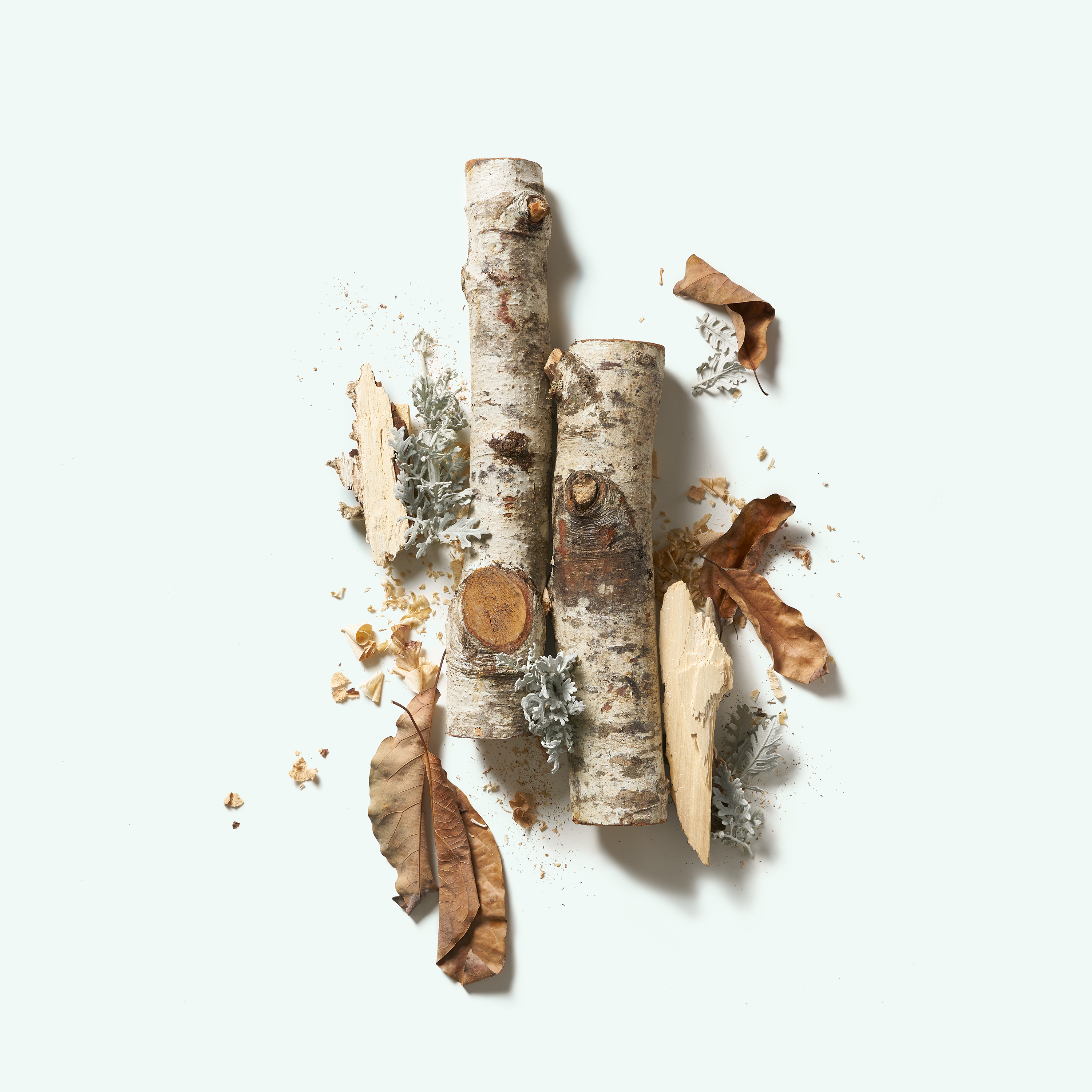 Natural Deodorant - Santalum