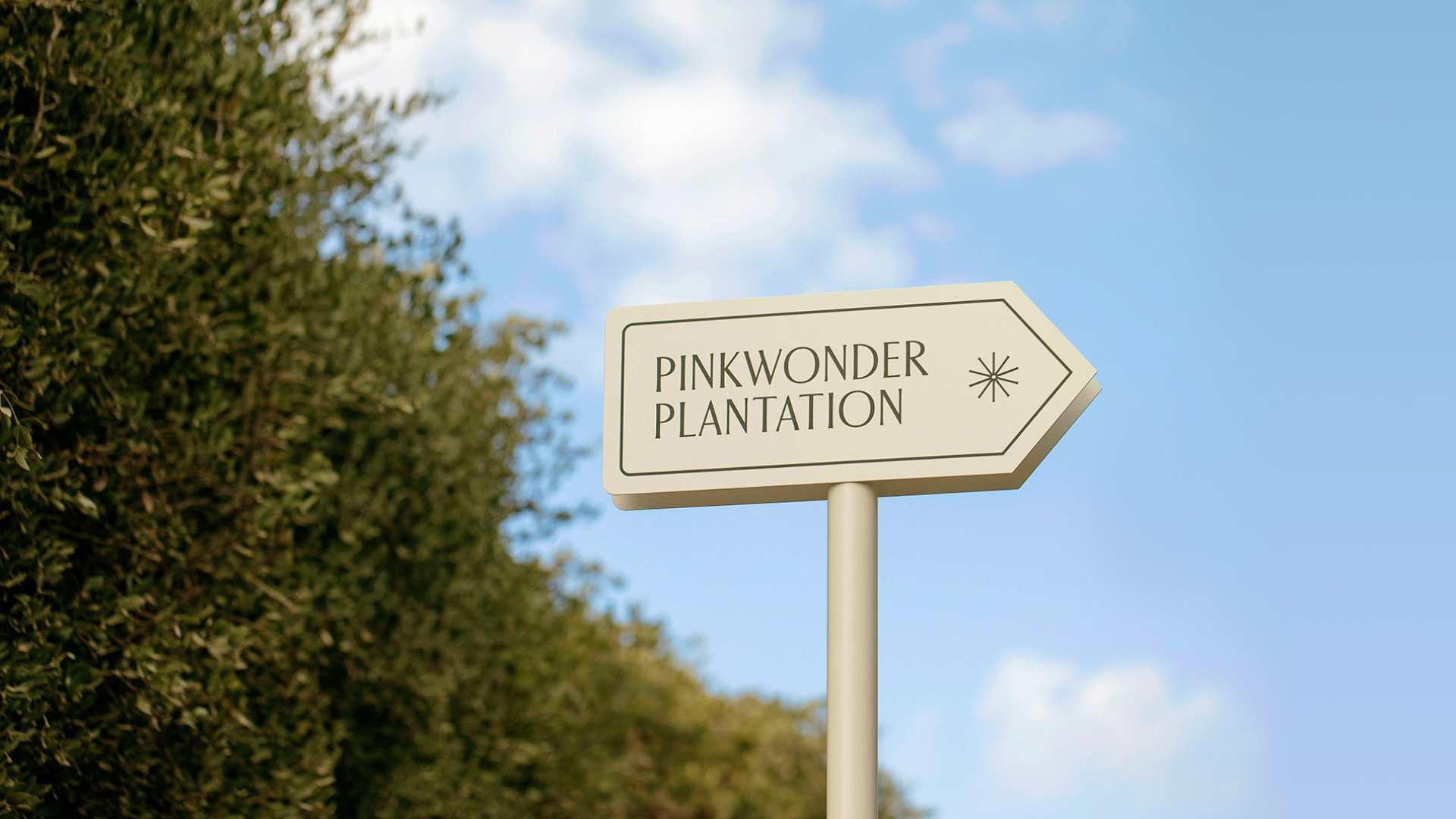Pinkwonder